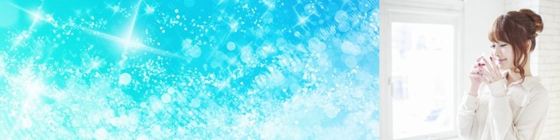 背bhX[W[TCg